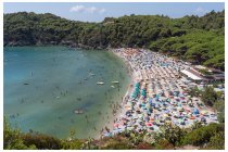 19s  spiaggia di Fetovaia
