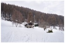 04s  dopo un primo tratto nel bosco dove si trova un cartellino mezzo scassato (indicazioni sentiero Tumel) si esce in una radura