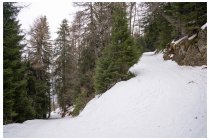 05s  dopo la radura si imbocca una strada forestale e la si segue fino alla destinazione, a tratti più, a tratti meno pendente