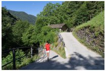03s  fino all'alpe Forno si procede lungo una forestale in parte cementata, ogni tanto arriva una  jeppetta di qualche proprietario di baita. Sono salito diverse volte per questa valle, ma quasi sempre in inverno, (clicca   QUI  , non ho mai visto tanta gente in giro da queste parti come oggi...