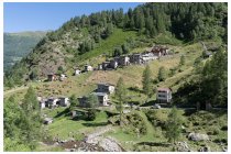 05s  vista dell'alpe Forno dall'alpe Casarsa