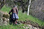 IMG_0009s.jpg