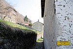IMG_0011s.jpg