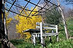 IMG_0012s.jpg