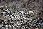 IMG_0014s.jpg