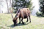 IMG_0022s.jpg