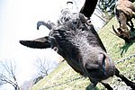 IMG_0023s.jpg