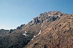 IMG_0026s.jpg
