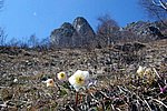 IMG_0028s.jpg