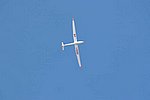 IMG_0038s.jpg