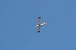 IMG_0049s.jpg