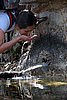 IMG_0083s.jpg