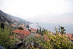 IMG_0087s.jpg