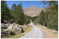 35s  ecco il mio obiettivo di oggi, la cima lassù è quella della Bonette, poco sotto passa la mia strada (altri 650 metri di dislivello)