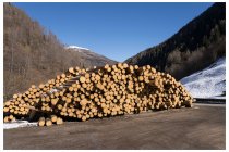 01s  Breve galleria di foto scattate durante un giretto in val Brandet, una delle due valli di Sant'Antonio, sopra Corteno Goldi e a breve distanza dal passo Aprica.   Eli e Nives sciano all'Aprica e io ne approfitto per un giretto a piedi, mi hanno raggiunto verso le 10 per fare un giretto con le ciaspole Damiano e sua figlia, puntiamo a Trivigno per fare la classica e sicura salita al monte Padrio, purtroppo  una macchina bloccata in un tratto di strada ghiacciato ci ha fatto tornare indietro e cambiare destinazione. Alla fine, all'alba delle 11e40 ci incamminiamo ormai senza grandi aspettative nella val Brandet, partendo dal piccolo borgo di Sant'Antonio