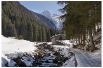03s  subito in partenza indossiamo i ramponcini perchè la strada è coperta di ghiaccio e neve pressata dai passaggi, dopo la prima rampa faticosa il sentiero spiana e compaiono le belle cime alla testata della valle
