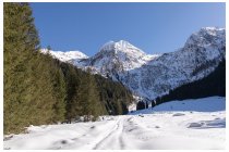 08s  alla malga Casazza la traccia battuta termina, così indossiamo le ciaspole e proseguiamo verso la malga Bondone, solo per il gusto di camminare un pò nella neve vergine, alla malga Bondone oramai non arriviamo più