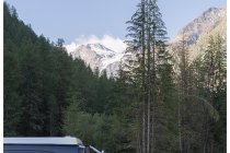 01s  Una piccola galleria di foto scattatre nei tre giorni passati nella valle di Cogne con Nives. Tre giretti senza grandi pretese, in attesa della puntuale pioggia pomeridiana. Pernottamento al campeggio di Valnontey (1670m)