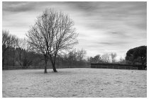 01s  giretto mattutino in bici con partenza da casa, mattina molto fredda e per lo più senza sole... e senza colori ormai