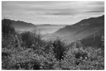 18s  scollino e scendo verso la valle dell'Adda, lungo la grande stradona (chiusa) che doveva essere la principale via di accesso a Consonno da Olginate