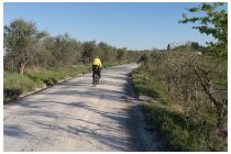 12s  riprendiamo a pedalare sulla dorsale di colline che alterna uliveti, vigneti, boschetti e casolari a 5 stelle