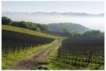 13s  l'umidità che sale dal fondovalle