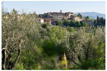15s  a Vagliagli facciamo colazione
