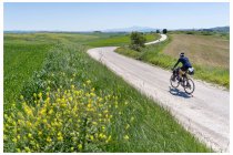 36s  lungo la Siena - Radi, siamo nella zona delle crete senesi