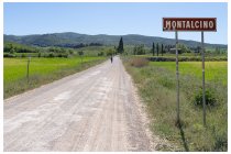 46s  sfiorati Buonconvento e Bibbiano entriamo nel territorio di Montalcino, a più di 600 metri di quota la cima di giornata. In realtà da questo primo cartello passeranno 15 chilometri, 570 metri di dislivello ripidi e sterrati e due ore di sofferenza sotto il sole più caldo