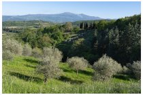 52s  poco prima di raggiungere Montalcino, in lontananza il monte Amiata