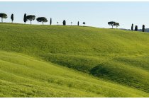 63s  passiamo Torrenieri alle 19e15, ma non siamo ancora arrivati, ci sarebbe la semplice strada asfaltata che in piano e in 7,5 km ci condurrebbe al campeggio, invece noi seguiamo fedeli la traccia dell'eroica e facciamo 16,5 km con altri 260 metri di dislivello positivo, ma la ricompensa sono altri paesaggi incantevoli con gli ultimi raggi del sole (anche oggi pianteremo la tenda con il buio)
