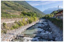 03s  dopo aver gironzolato a Tirano mi immetto nel sentiero Valtellina, finalmente le temperature sono calate un pochino ed è piacevole pedalare con l'arietta frizzantina della mattina tra meleti e vigneti