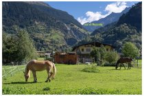 07s  in località Le Prese (frazione di Sondalo) inizia la luunga risalita della val di Rezzalo verso il passo dell'Alpe Salita già fatta nel giugno del 2022, (clicca   QUI  ) anche quella volta salii al Gavia ma poi però scesi verso Bormio, oggi invece scenderò verso Ponte di Legno