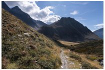 23s  più o meno l'ultima mezzora per arrivare al passo dell'Alpe si fa a spinta, circa 100/130 metri di dislivello, la strada forestale diventa una piccola mulattiera e poi un sentiero, magari senza carico e con le gambe meno stanche qualche tratto si può ancora pedalare, ma non è il mio caso