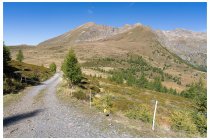 53s  anche le salite più dure prima o poi terminano, qui sono al passo che su Open Street Map è segnato come "col Carette di val Bighera", 2130 metri, a cavallo tra la val Grande e la vallata che sale da Monno verso il passo del Mortirolo