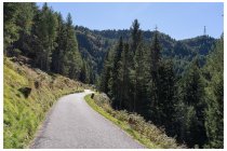 62s  la strada è tutta così, più o meno in piano, traffico non pervenuto. Corre in costa a circa 1900 metri sui monti che separano la Valtellina dalla val Camonica (nella zona tra Monno, Edolo e Corteno Golgi), sul versante Valtellinese