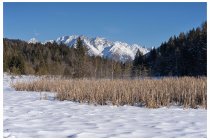 29s  ultimo scatto sempre dal pian di Gembro con il massiccio dell'Adamello sullo sfondo