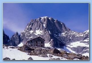 [Click to enlarge image]