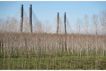 14s  i piloni del ponte ferroviario sull'alta velocità ferroviaria, l'ho fotografato durante un altro giro, cliccate   QUI  , è l'ultima foto