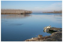 17s  il Po a Colombarola