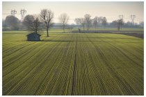 24s  verso Bocca d'Adda