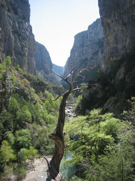 IMG_0207.JPG