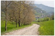 11s  lungo il tratto sterrato tra Rota e Corna Imagna, la discesa verso il torrente Locatello