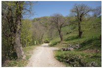 15s  lungo la strada della Baghina, tra Corna e Berbenno