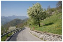 17s  dopo Berbenno una lunga discesa passa per Laxolo (non è un farmaco, ma un paesello in val Brembilla) e termina nel fondo valle a Brembilla, non ho fatto foto... poi ho ripreso a faticare sotto il sole del primo pomeriggio verso il passo di Sant'Antonio