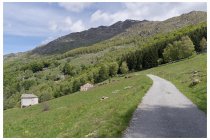 15s  la pendenza è decisamente più dolce e il panorama si fa sempre più interessante, in realtà ogni tanto ricompare l'asfalto