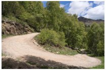 21s  invece di scendere verso Carema prendo la strada che sale all'alpe Druer, 4 chilometri e altri 350 metri di dislivello