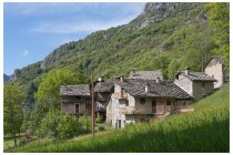 35s  da Maletto è tutta una picchiata su asfalto verso Carema, il bosco si alterna a radure dove c'è sempre una borgata circondata di prati e spesso mucche