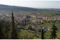 07s  Fumane in basso, circondata dai vigneti