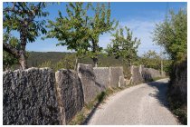 10s  queste lastre di pietra rosata sono meglio di un cartello, ora sono davvero entrato in Lessina